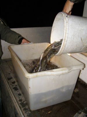 Kliknite pre zobrazenie v plnom rozlíšení