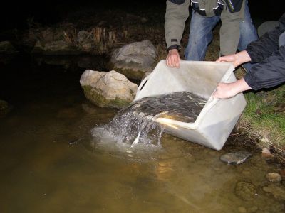 Kliknite pre zobrazenie v plnom rozlíšení
