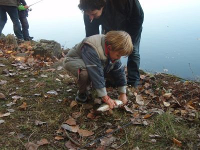 Kliknite pre zobrazenie v plnom rozlíšení