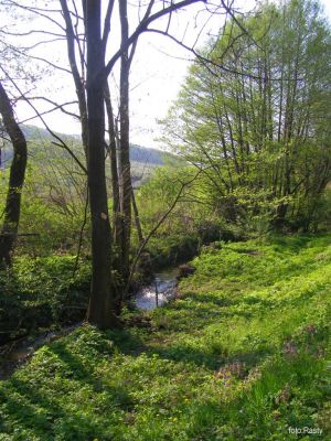 Kliknite pre zobrazenie v plnom rozlíšení