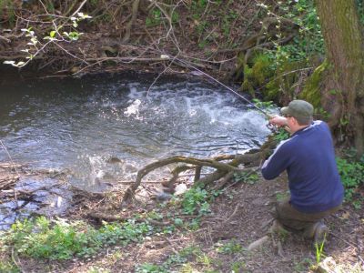 Kliknite pre zobrazenie v plnom rozlíšení
