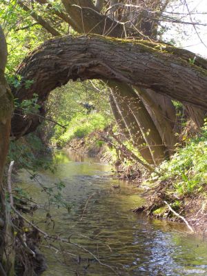 Kliknite pre zobrazenie v plnom rozlíšení