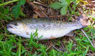 Kliknite pre zobrazenie v plnom rozlíšení