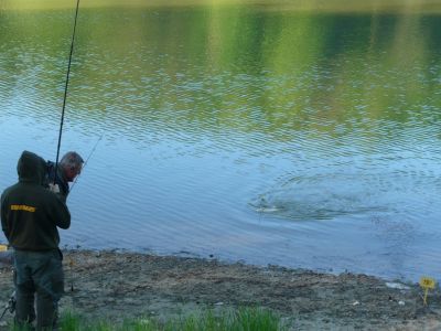 Kliknite pre zobrazenie v plnom rozlíšení