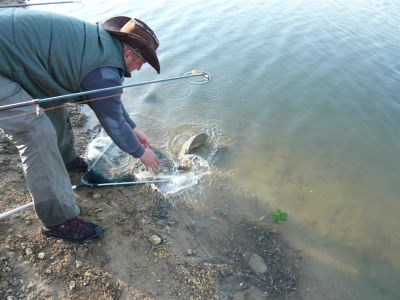 Kliknite pre zobrazenie v plnom rozlíšení