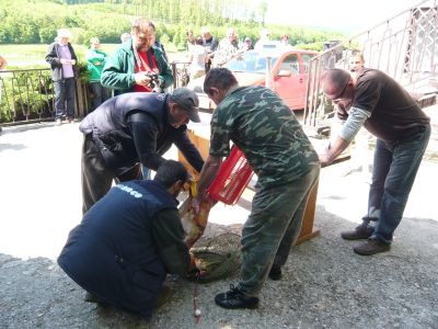 Kliknite pre zobrazenie v plnom rozlíšení
