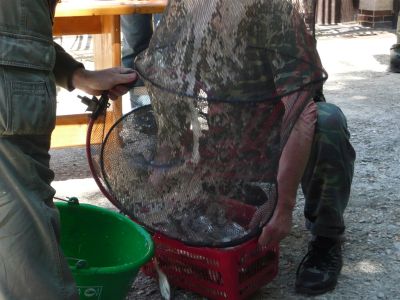 Kliknite pre zobrazenie v plnom rozlíšení