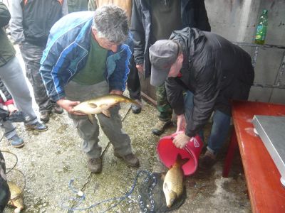 Kliknite pre zobrazenie v plnom rozlíšení