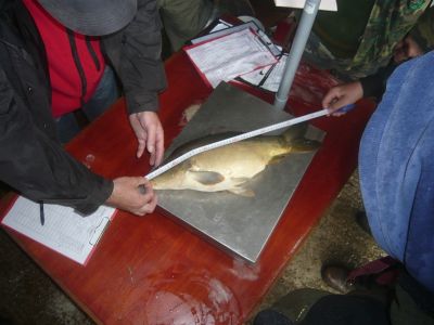 Kliknite pre zobrazenie v plnom rozlíšení