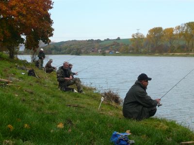 Kliknite pre zobrazenie v plnom rozlíšení
