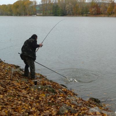 Kliknite pre zobrazenie v plnom rozlíšení