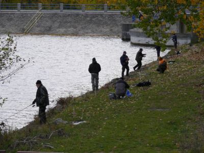 Kliknite pre zobrazenie v plnom rozlíšení
