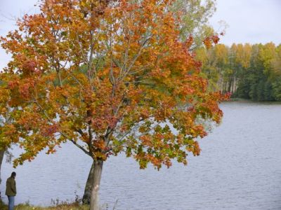 Kliknite pre zobrazenie v plnom rozlíšení