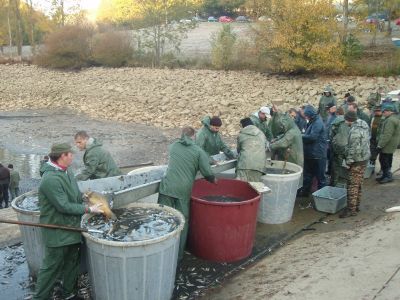 Kliknite pre zobrazenie v plnom rozlíšení