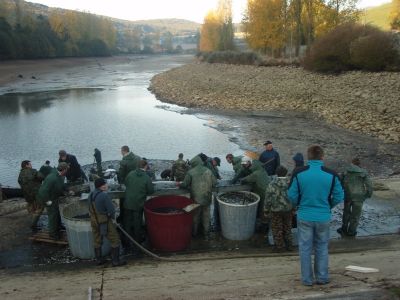 Kliknite pre zobrazenie v plnom rozlíšení