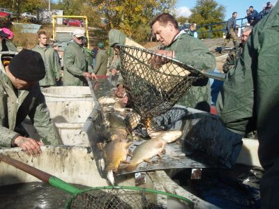 Kliknite pre zobrazenie v plnom rozlíšení