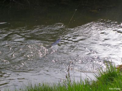 Kliknite pre zobrazenie v plnom rozlíšení