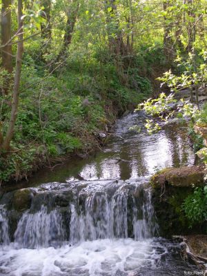Kliknite pre zobrazenie v plnom rozlíšení
