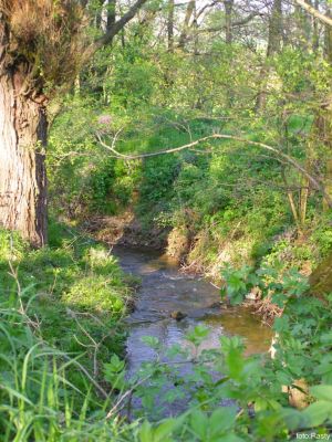 Kliknite pre zobrazenie v plnom rozlíšení