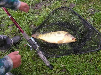 Kliknite pre zobrazenie v plnom rozlíšení
