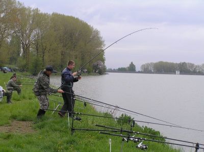 Kliknite pre zobrazenie v plnom rozlíšení