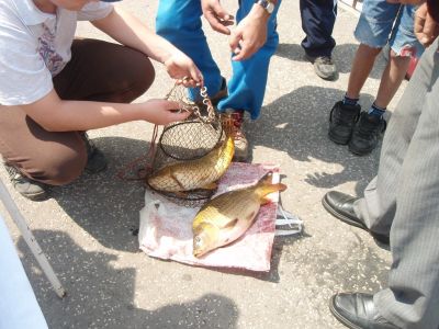 Kliknite pre zobrazenie v plnom rozlíšení