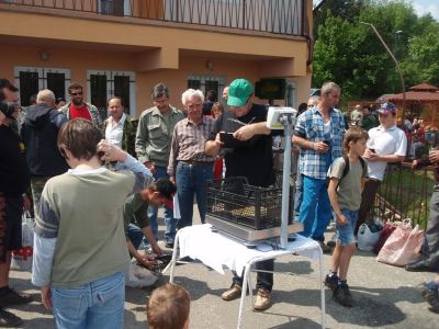 Kliknite pre zobrazenie v plnom rozlíšení