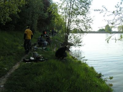 Kliknite pre zobrazenie v plnom rozlíšení