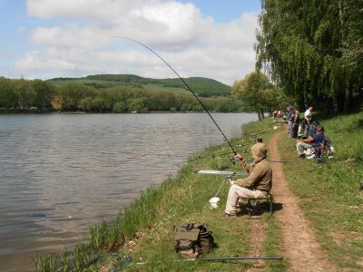 Kliknite pre zobrazenie v plnom rozlíšení