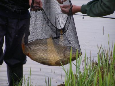 Kliknite pre zobrazenie v plnom rozlíšení