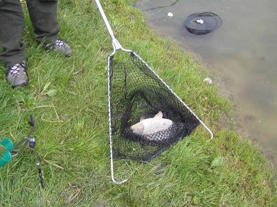 Kliknite pre zobrazenie v plnom rozlíšení