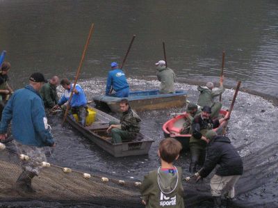Kliknite pre zobrazenie v plnom rozlíšení