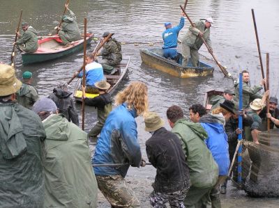 Kliknite pre zobrazenie v plnom rozlíšení