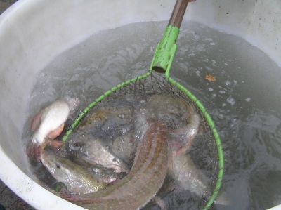 Kliknite pre zobrazenie v plnom rozlíšení