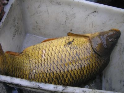 Kliknite pre zobrazenie v plnom rozlíšení