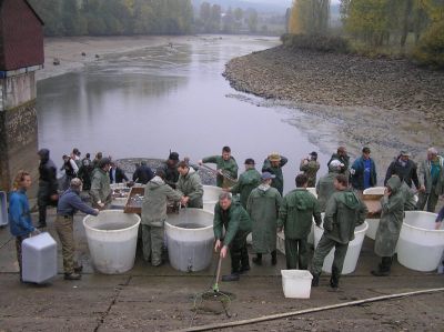 Kliknite pre zobrazenie v plnom rozlíšení