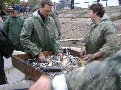Kliknite pre zobrazenie v plnom rozlíšení