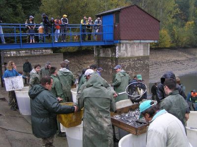Kliknite pre zobrazenie v plnom rozlíšení