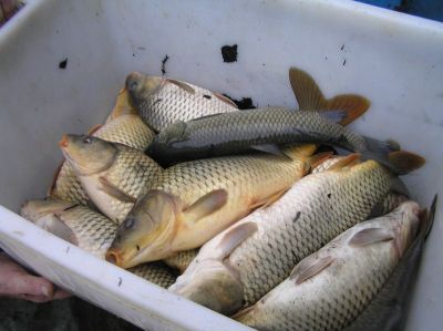 Kliknite pre zobrazenie v plnom rozlíšení