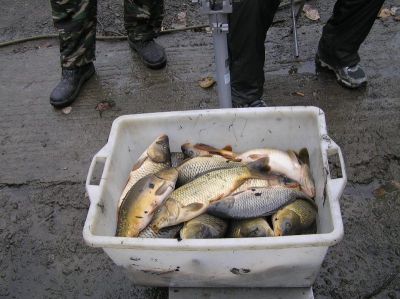 Kliknite pre zobrazenie v plnom rozlíšení