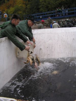 Kliknite pre zobrazenie v plnom rozlíšení