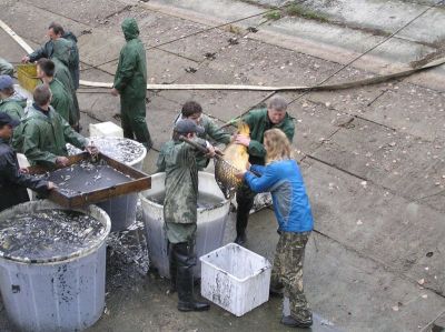 Kliknite pre zobrazenie v plnom rozlíšení