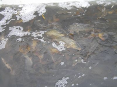 Kliknite pre zobrazenie v plnom rozlíšení