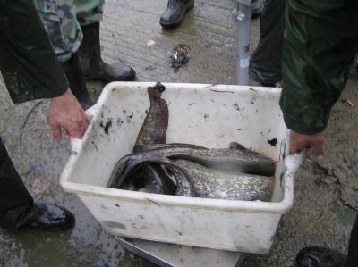 Kliknite pre zobrazenie v plnom rozlíšení