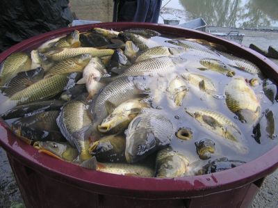 Kliknite pre zobrazenie v plnom rozlíšení