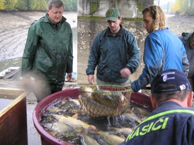 Kliknite pre zobrazenie v plnom rozlíšení