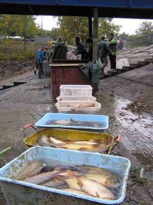 Kliknite pre zobrazenie v plnom rozlíšení