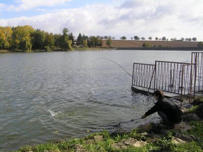 Kliknite pre zobrazenie v plnom rozlíšení