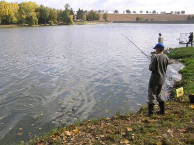 Kliknite pre zobrazenie v plnom rozlíšení