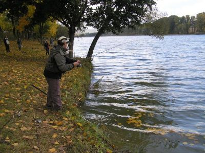 Kliknite pre zobrazenie v plnom rozlíšení